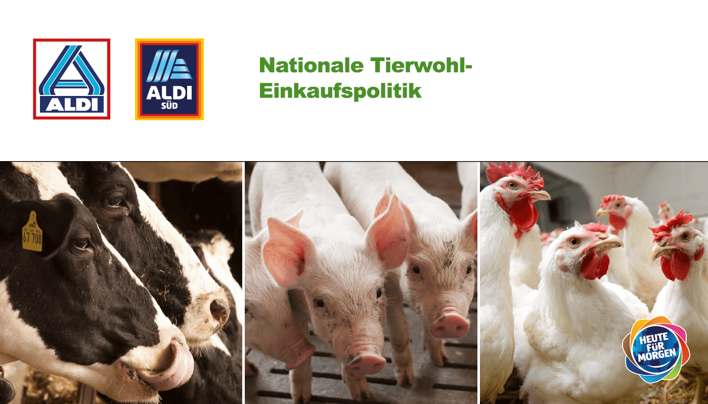 ALDI Nationale Tierwohl-Einkaufspolitik