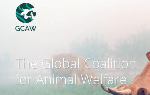 Global Coalition for Animal Welfare