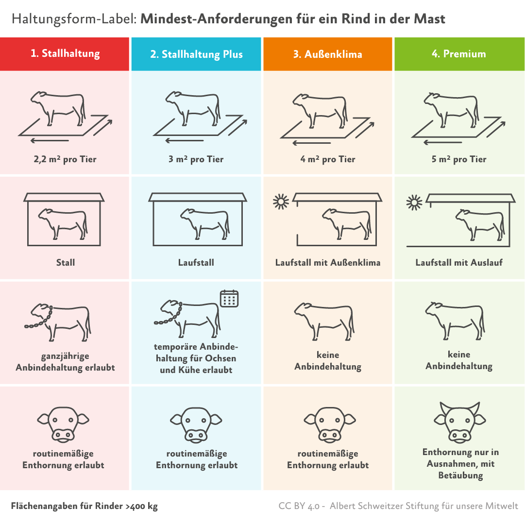 Infografik Haltungsform-Kennzeichnung Rinder