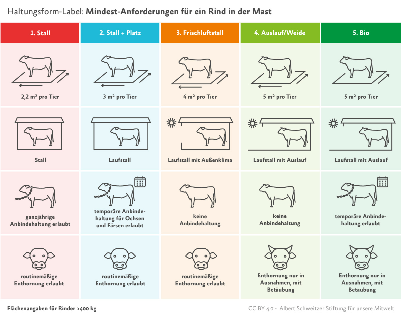 Infografik Haltungsform-Kennzeichnung Rinder
