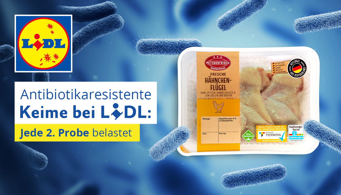 Banner Krankheitserreger auf Lidl-Fleisch