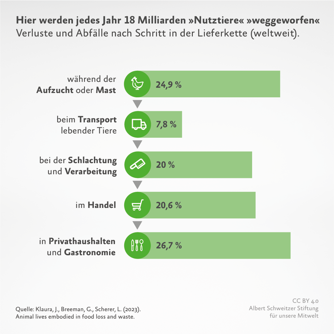 Infografik: Lebensmittelverschwendung nach Lieferkette