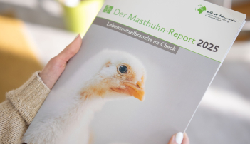 Person hält zugeklappten Masthuhn-Report in den Händen