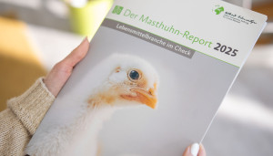 Person hält zugeklappten Masthuhn-Report in den Händen
