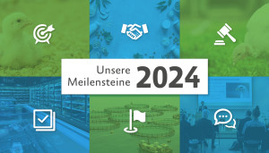 Grafik Meilensteine 2024