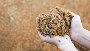 Proteine aus Lebensmittelresten