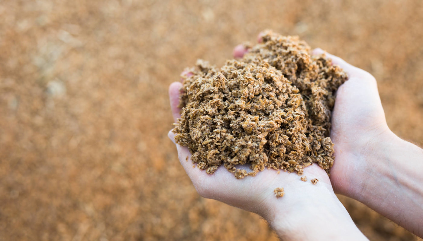 Proteine aus Lebensmittelresten