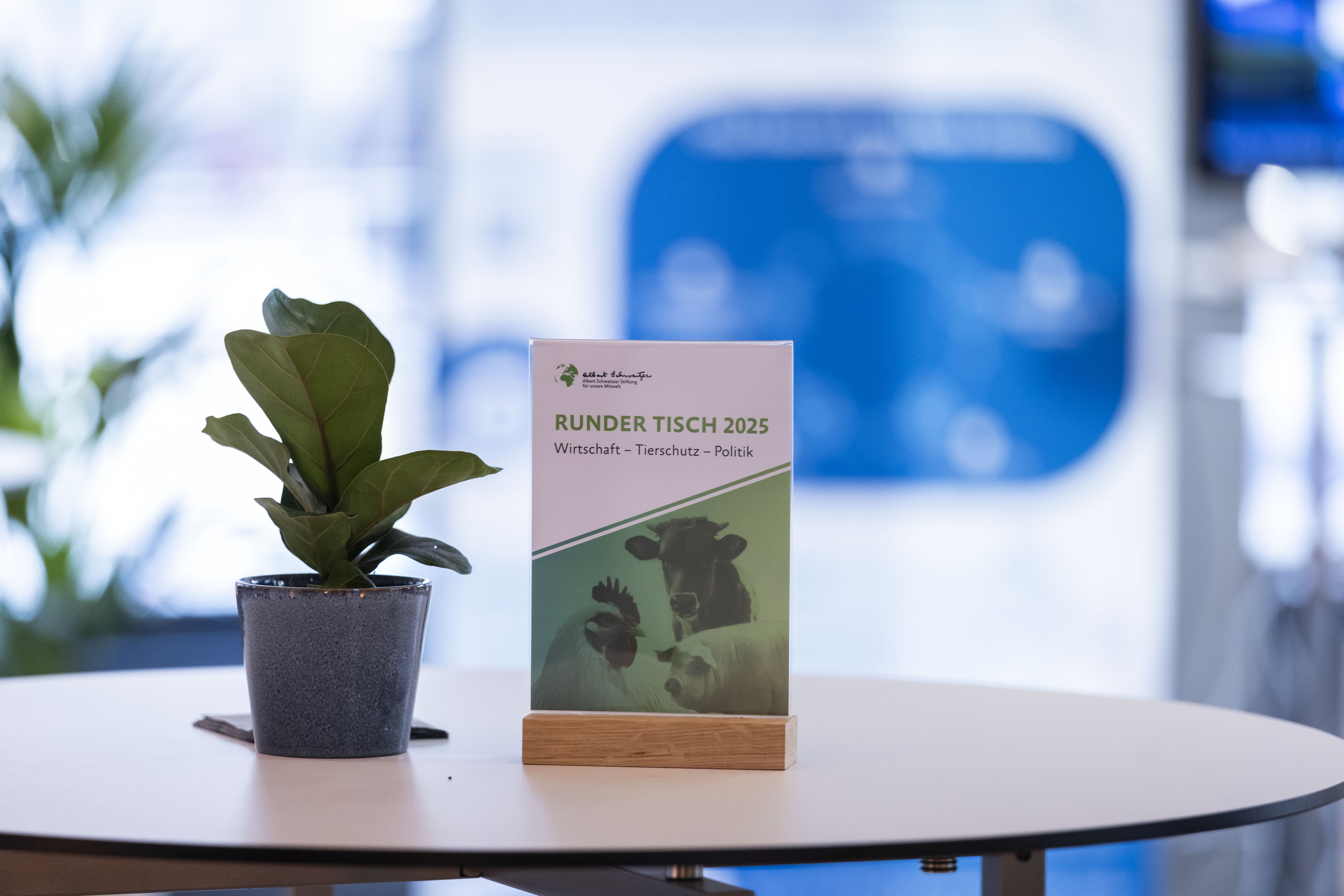 Schild und Pflanze auf Tisch