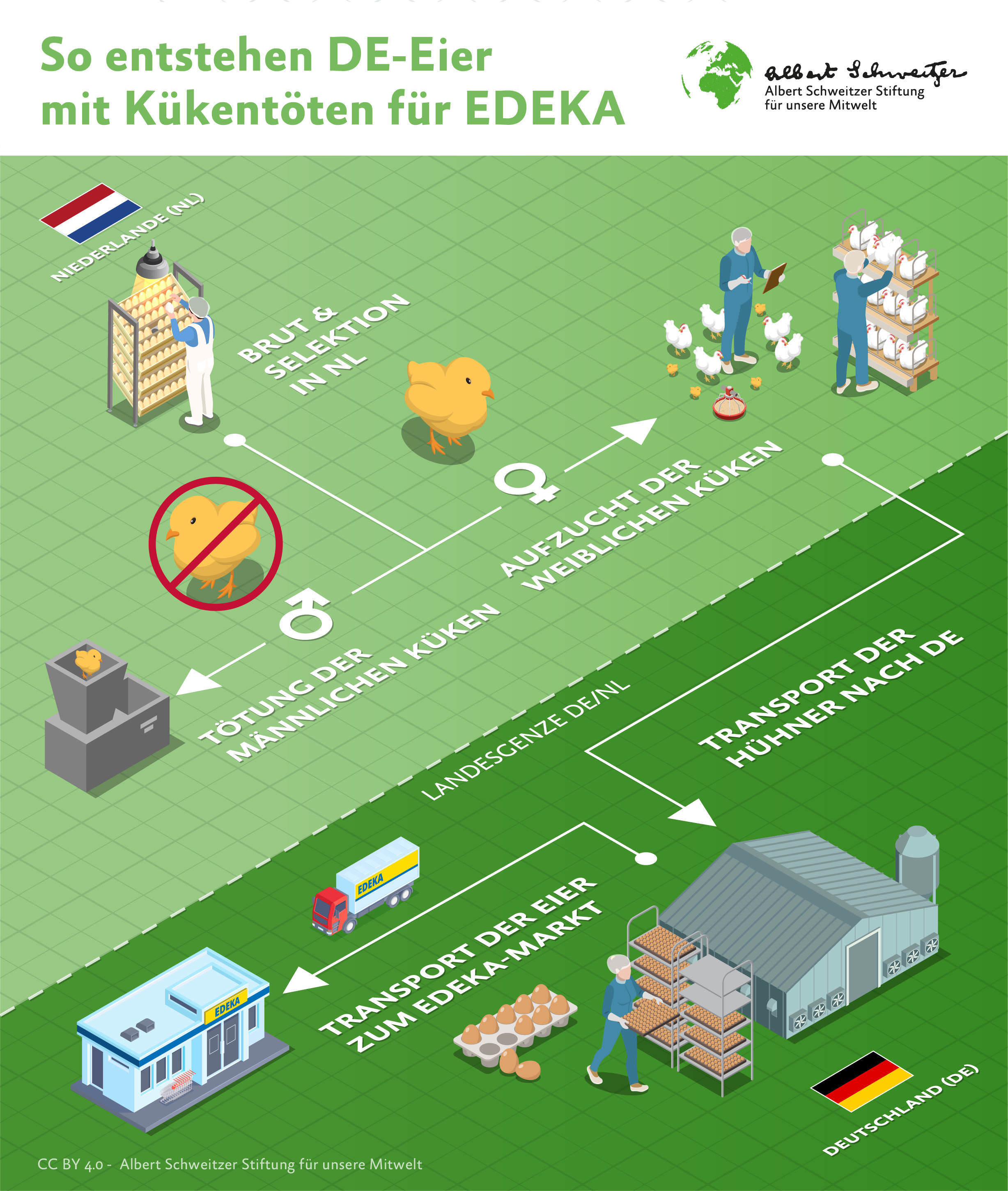 Infografik