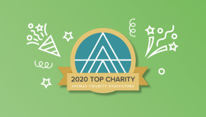 Top Charity